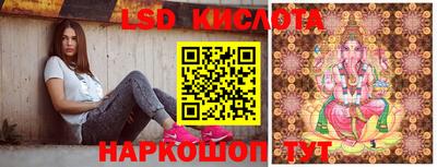 ПСИЛОЦИБИНОВЫЕ ГРИБЫ Донской