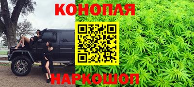 стаф Донецк