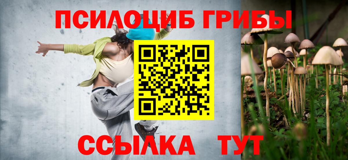 Галлюциногенные грибы Cubensis  Вход с VPN  Волгоград 